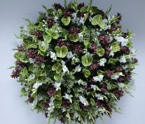 CI 02 - Coroa Inglesa