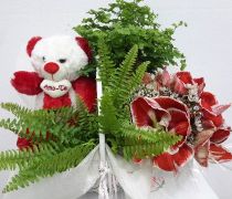 AFN 45 - Cesto com flores e peluche