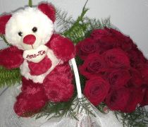 BQF 25 - Bouquet de rosas vermelhas com Peluche