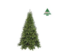 Ref. 012575 - Arvore Natal Tuscan Spruce green 1,55mt.