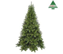 Ref. 012577 - Arvore Natal Tuscan Spruce green 2,15mt.
