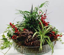 AN16 - Centro de Natal com plantas